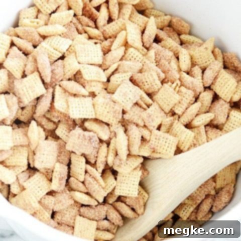 Something Swanky's Churro Chex Mix: Top 8 Allergen-Free and Vegan 4 Guest Post: Something Swanky's Churro Chex Mix (GF, DF, Egg, Soy, Peanut/Tree nut Free, Top 8 Free, Vegan)