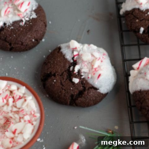 White Chocolate-Coated Gluten-Free Vegan Peppermint Cookies 10 Top 8 Free White Chocolate Dipped Peppermint Chocolate Christmas Cookies, a perfect allergy-friendly holiday treat.