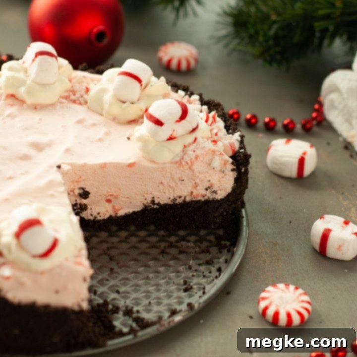 Peppermint Pie With Gluten And Dairy Free Options Video 7 peppermint-pie-recipe