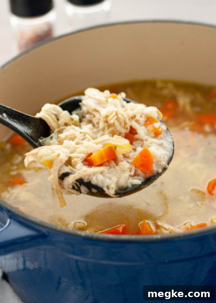 Comforting Gluten and Dairy Free Chicken and Rice Soup 5 easy-gluten-and-dairy-free-chicken-and-rice-soup-being-ladeled-out-of-a-dutch-oven with fresh herbs