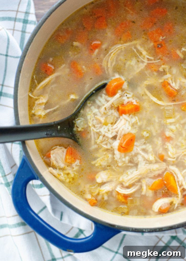 Comforting Gluten and Dairy Free Chicken and Rice Soup 6 dairy-free-gluten-free-chicken-and-rice-soup-from-above-in-a-dutch-oven ready to be served
