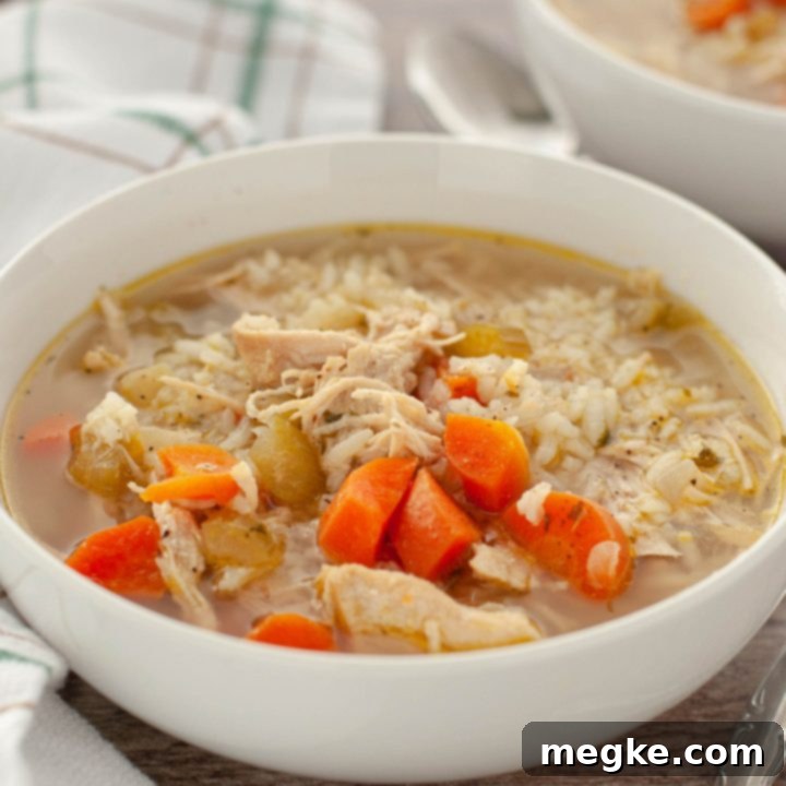 Comforting Gluten and Dairy Free Chicken and Rice Soup 7 how-to-make-chicken-and-rice-soup-dairy-free-bowl-close-up