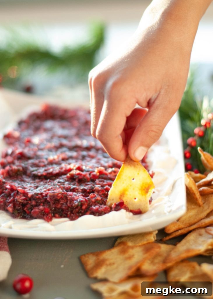 dairy-free-cranberry-salsa-dip