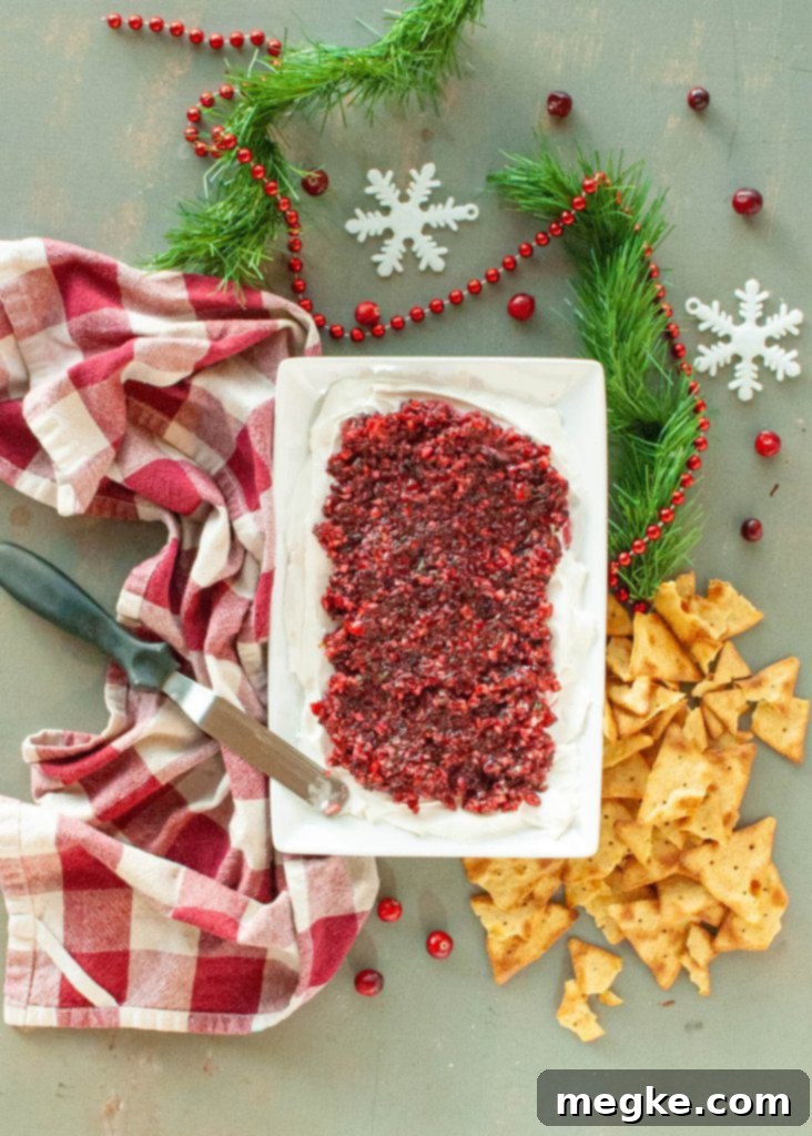 dairy-free-cranberry-salsa-dip