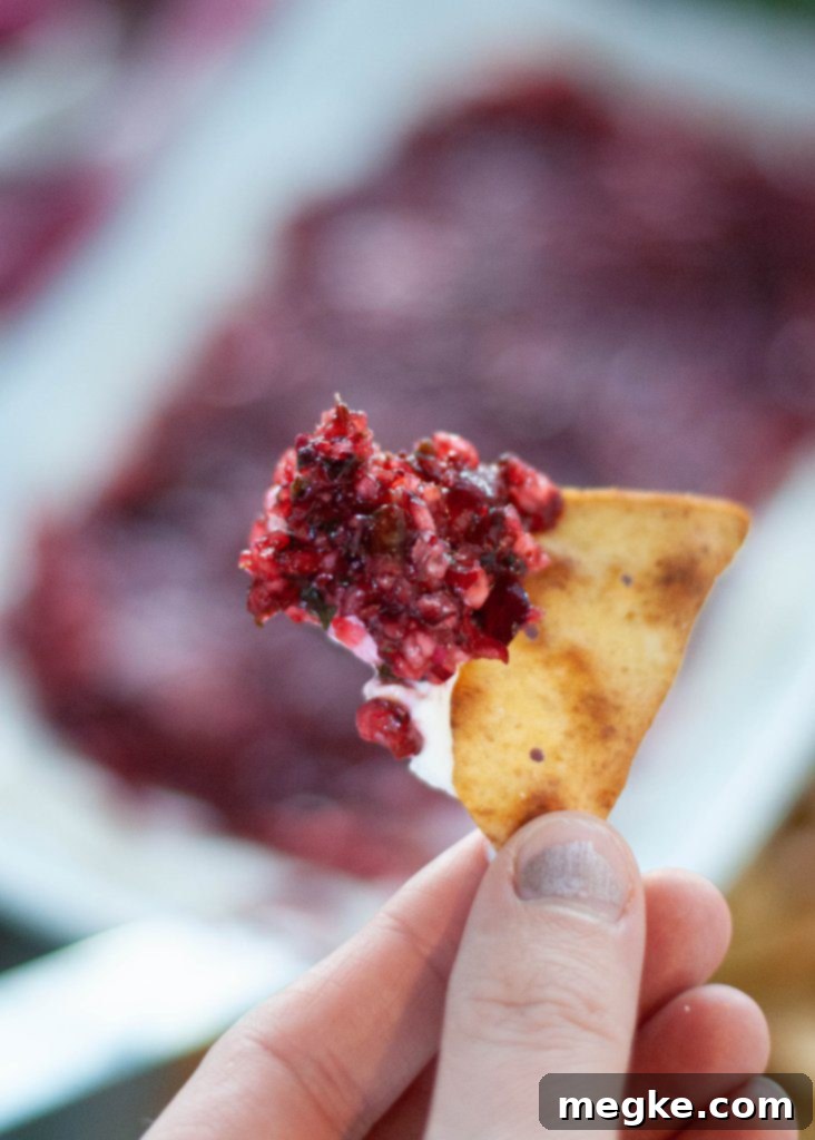 dairy-free-holiday-dip-cranberry-salsa