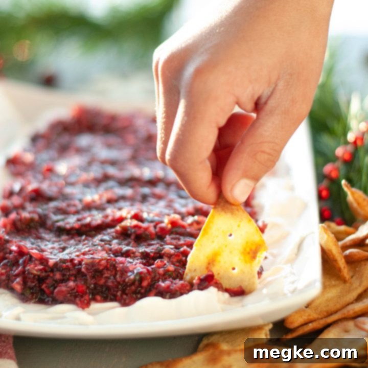 Festive Vegan Cranberry Salsa 7 dairy-free-cranberry-salsa-dip