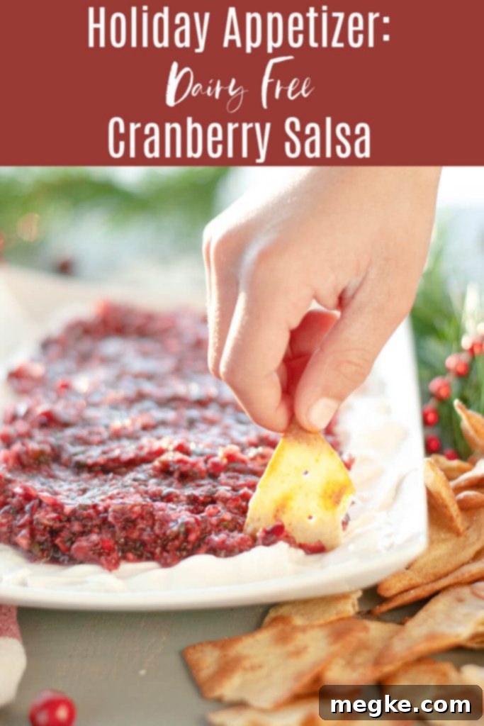 dairy-free-holiday-appetizer-cranberry-salsa