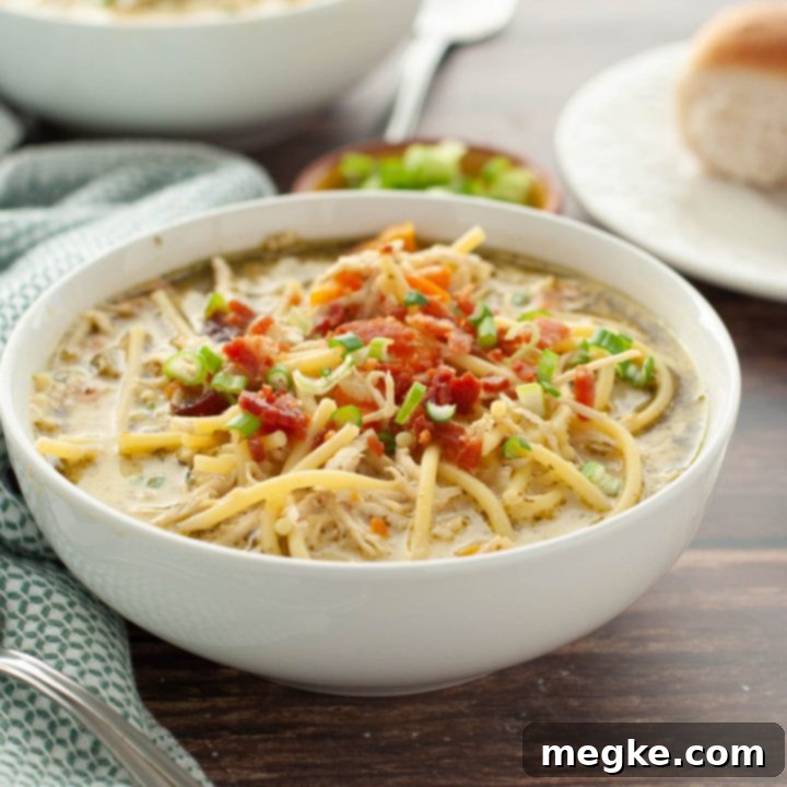 Dairy-Free Crack Chicken Noodle Soup Instant Pot or Stovetop 6 a close up shot of crack-chicken-noodle-soup-recipe-that's-gluten-and-dairy-free-in-a-white-bowl