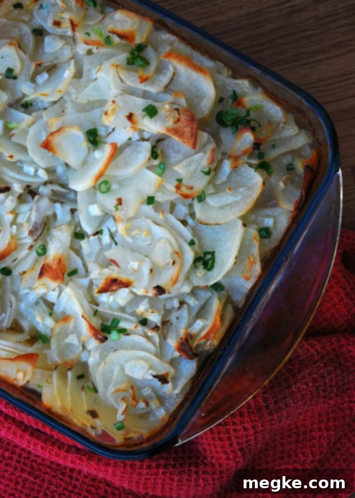 Pantry Perfect Vegan Scalloped Potatoes 19 Gluten, Dairy & Egg Free Scalloped Potatoes (Soy, Peanut/Tree nut Free too!) Vegan by Allergy Awesomeness