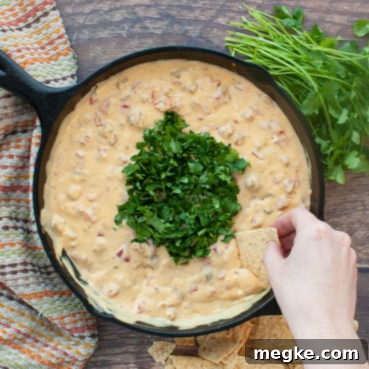 Creamy Dairy-Free Sausage Queso 6 close-up of dairy-free sausage queso dip in a bowl ready to be served