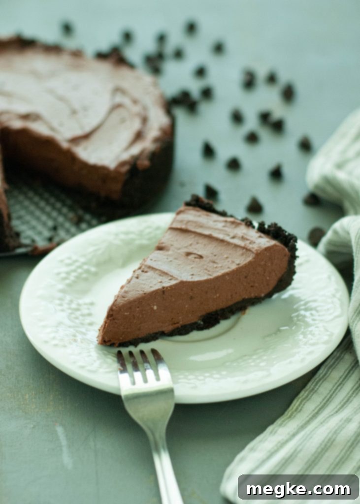 No Bake Vegan Chocolate Cheesecake Gluten Free Video Recipe 2 no-bake-vegan-chocolate-cheesecake