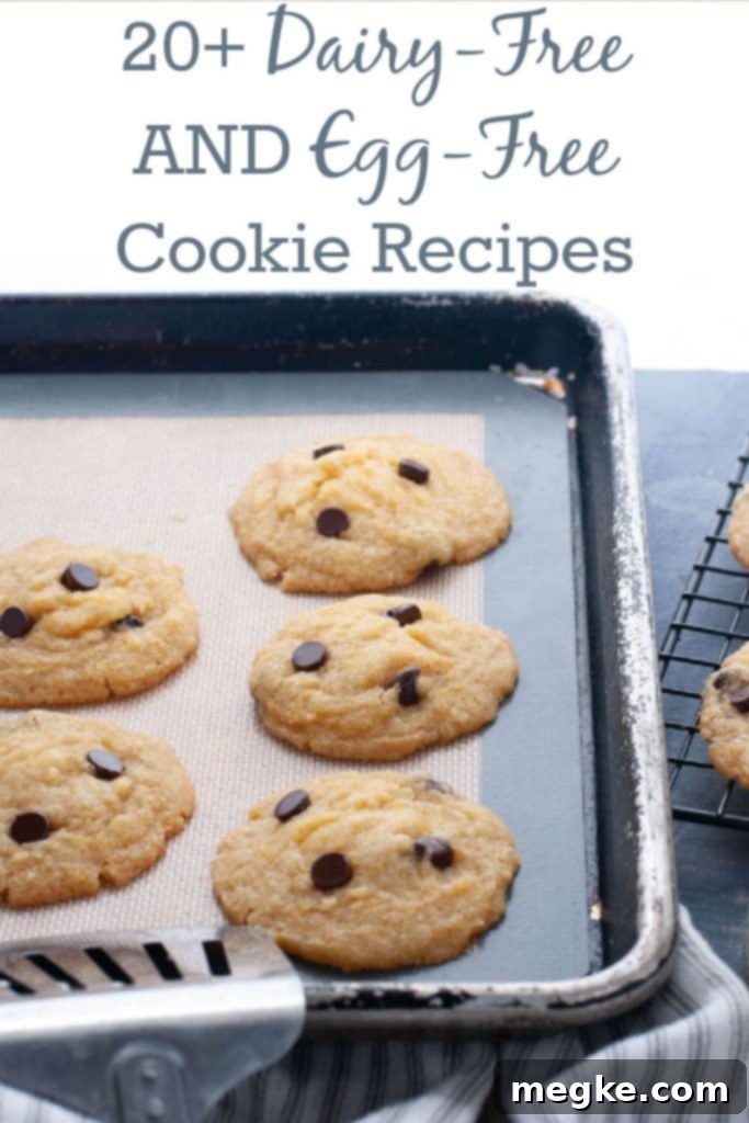 Collection of delicious dairy-free and egg-free cookie recipes, including chocolate chip, s'mores, and sugar cookies