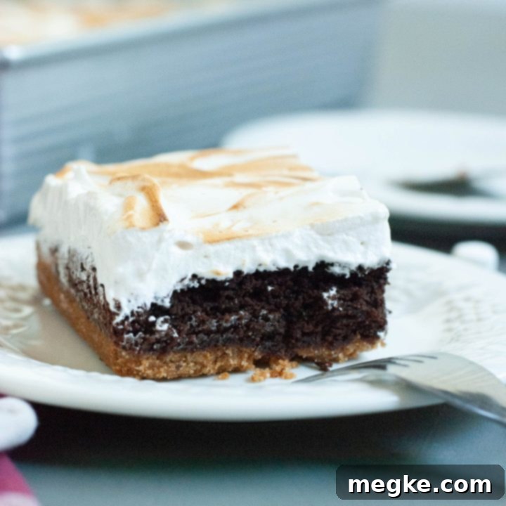 Gluten Free Dairy Free S'mores Brownie Bars Recipe with Video 8 gluten-free-dairy-free-smores-bars