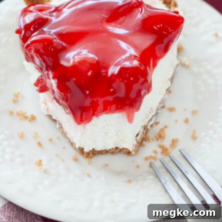 Indulgent No-Bake Cherry Cheesecake Dairy-Free and Gluten-Free 8 dairy-free-cherry-cheesecake-bitten-on-a-white-plate