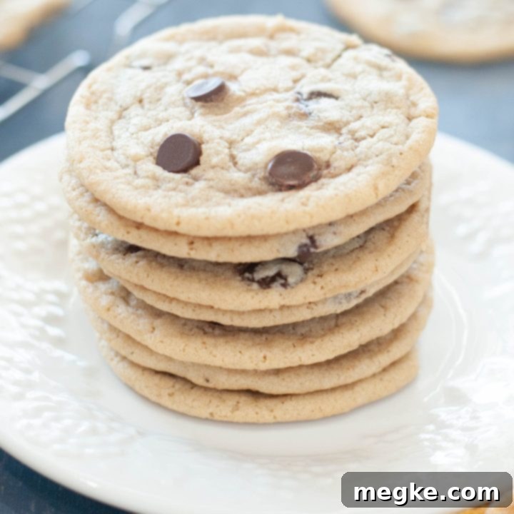 Easy Gluten Free Dairy Free Chocolate Chip Cookies 9 stack of gluten-free dairy-free chocolate chip cookies on a white plate