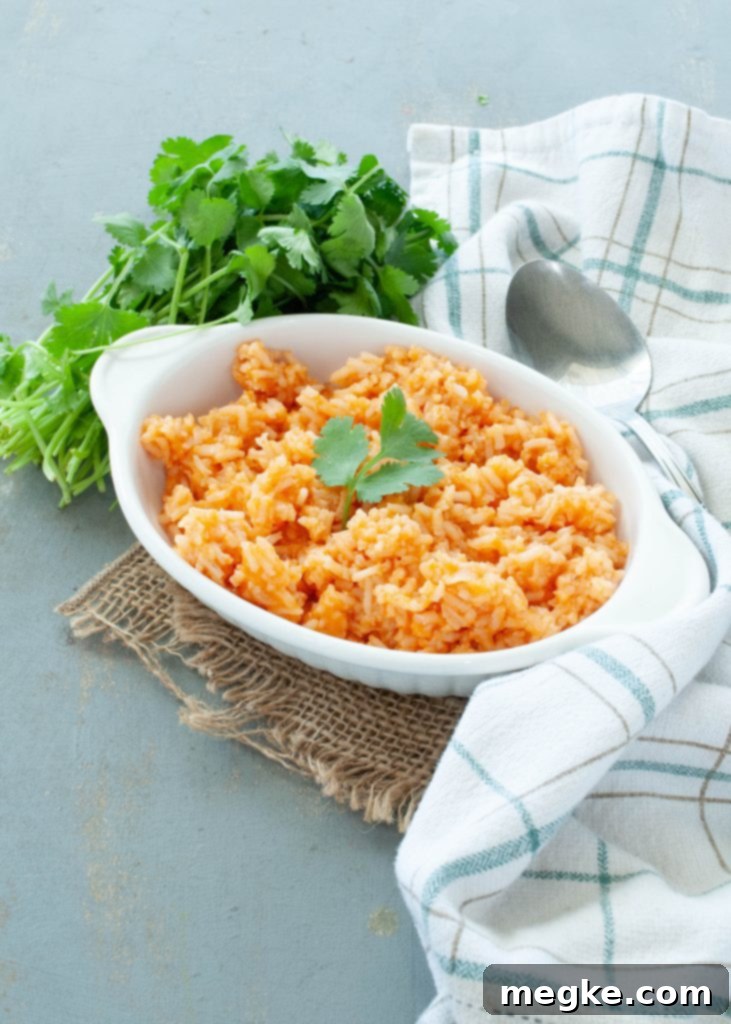 gluten-free dairy-free mexican rice 