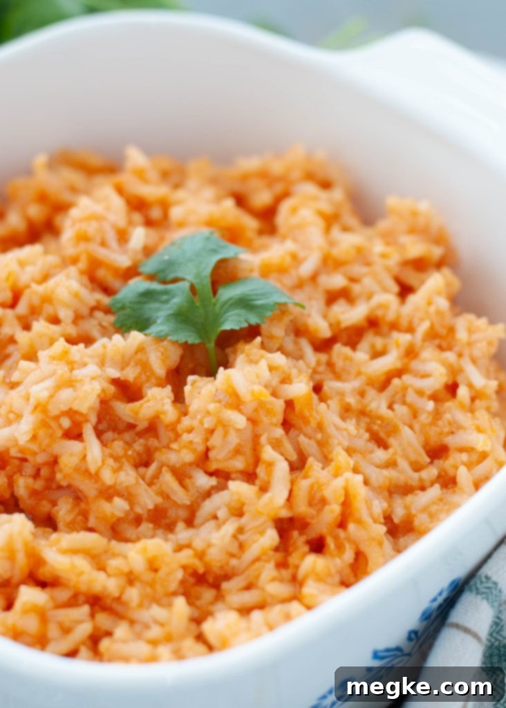 close up of mexican rice