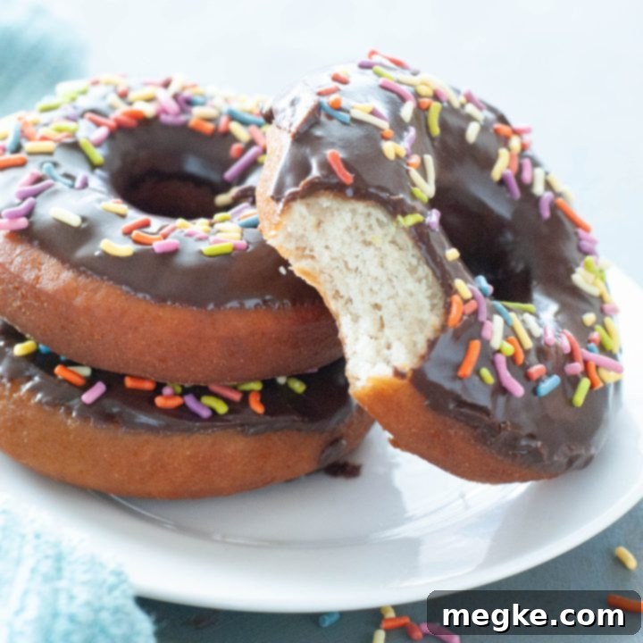 Gluten-Free Doughnuts Recipe with Video 6 Gluten-free donut with a bite taken out, showing fluffy interior