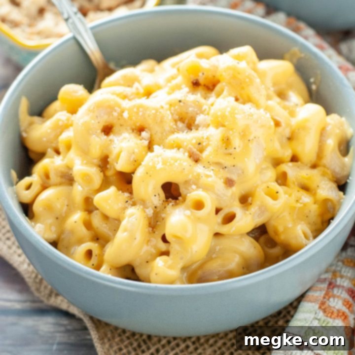 The Ultimate Easy Gluten-Free Mac and Cheese Guide 7 gluten-free-mac-and-cheese-in-a-blue-bowl-upclose