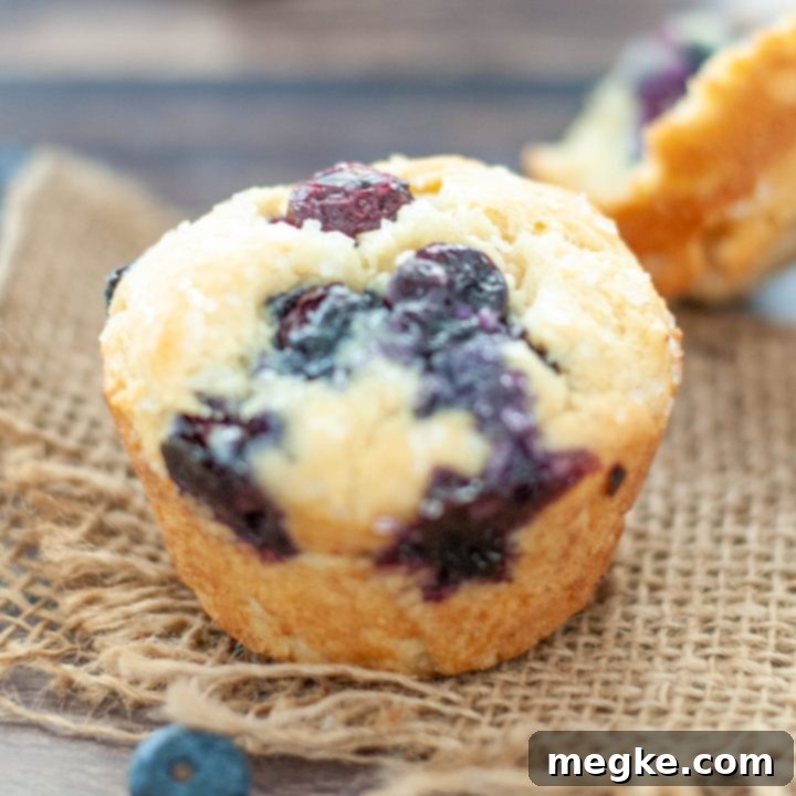 Fluffy Gluten Free Blueberry Muffins Video Recipe 7 Close-up of a golden-brown gluten-free blueberry muffin, showing its moist crumb and a sprinkling of sparkling sugar on top.