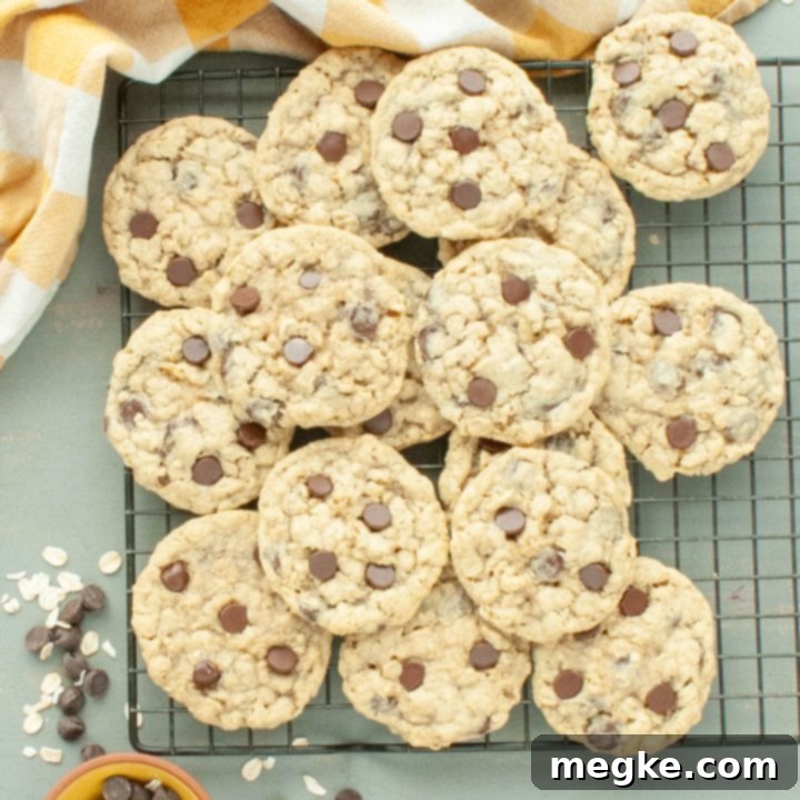 Gluten-Free Oatmeal Cookies: Raisin or Chocolate Chip Dream 7 gluten-free-oatmeal-cookies-piled-on-a-cooling-rack