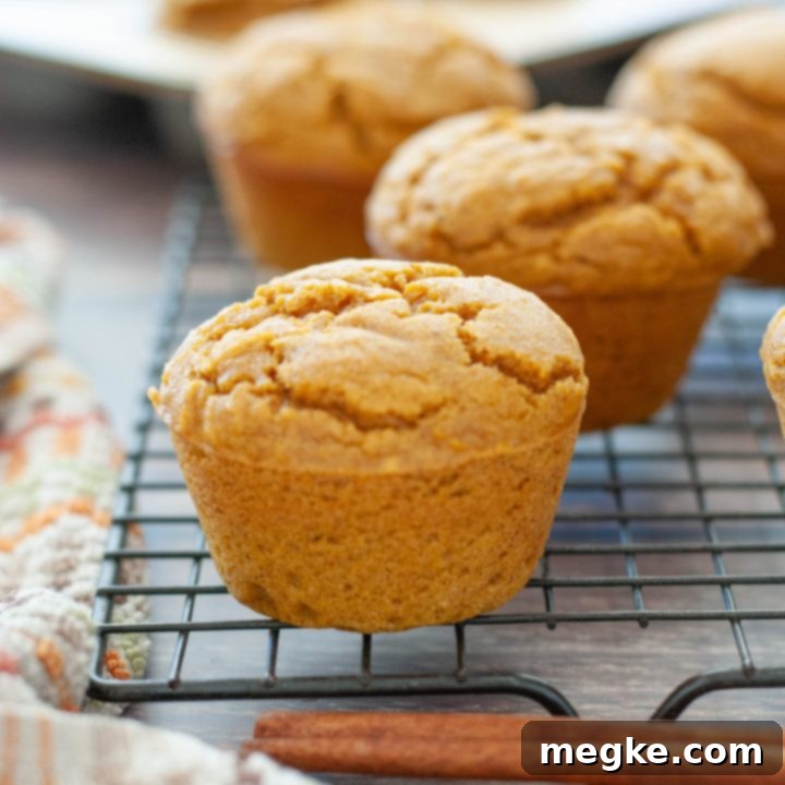 Easy Gluten Free Dairy Free Pumpkin Muffins 8 gluten-free-pumpkin-muffins-with-cinnamon-sticks-on-a-cooling-wrack