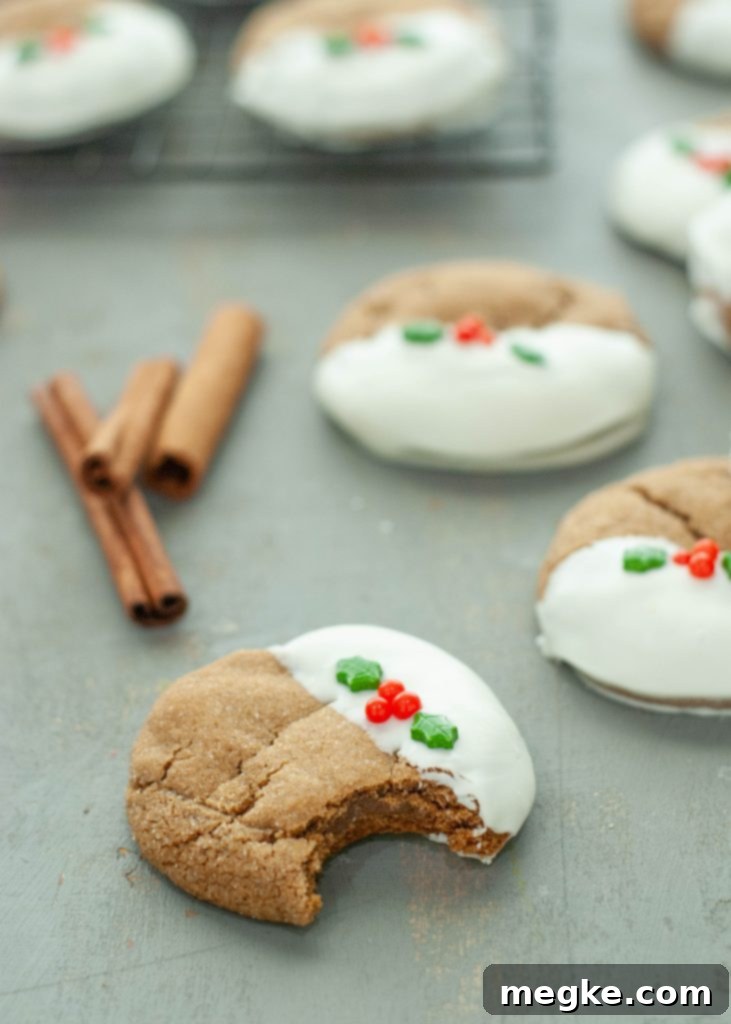 gluten-freegingerbread-cookie-dipped-in-white-chocolate-with-bite-taken-out