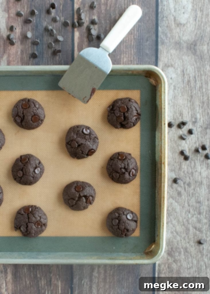 gluten-free-vegan-chocolate-cookie-recipe