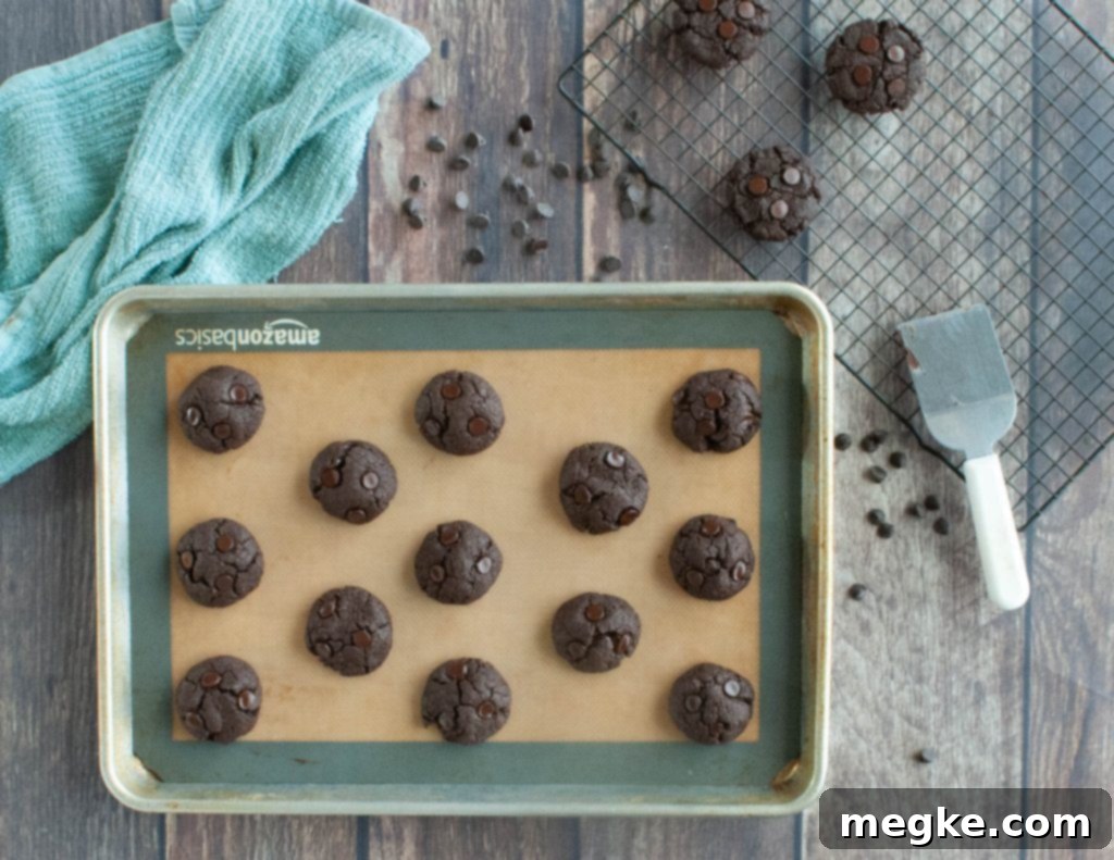 how-to-make-chocolate-cookies-gluten-free-and-vegan