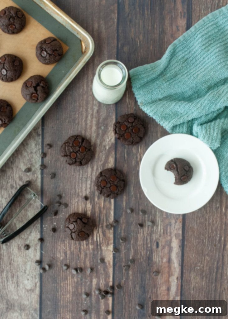 gluten-dairy-and-egg-free-chocolate-cookie-recipe