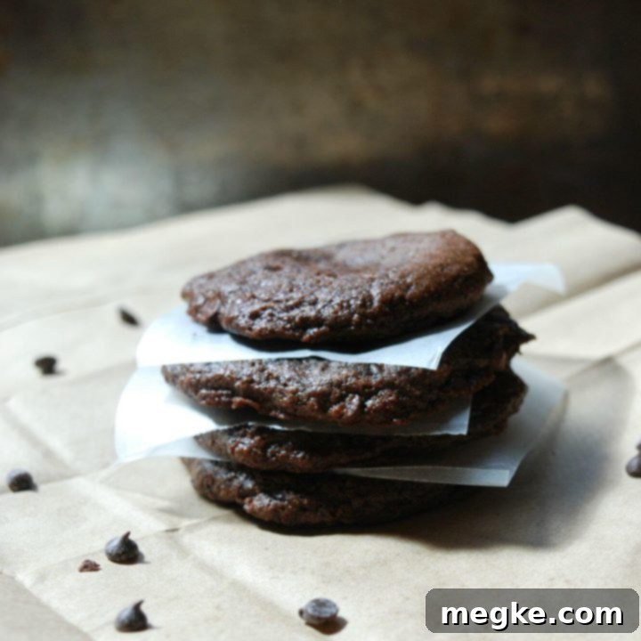 Gluten-free Vegan Double Chocolate Allergy Friendly Cookies 6 Gluten Free Vegan Double Chocolate Cookies