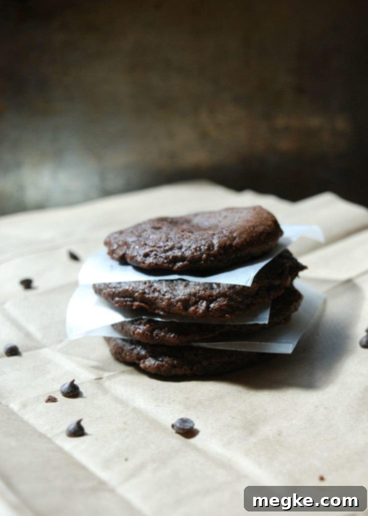 Gluten Free Vegan Double Chocolate Cookies Pin