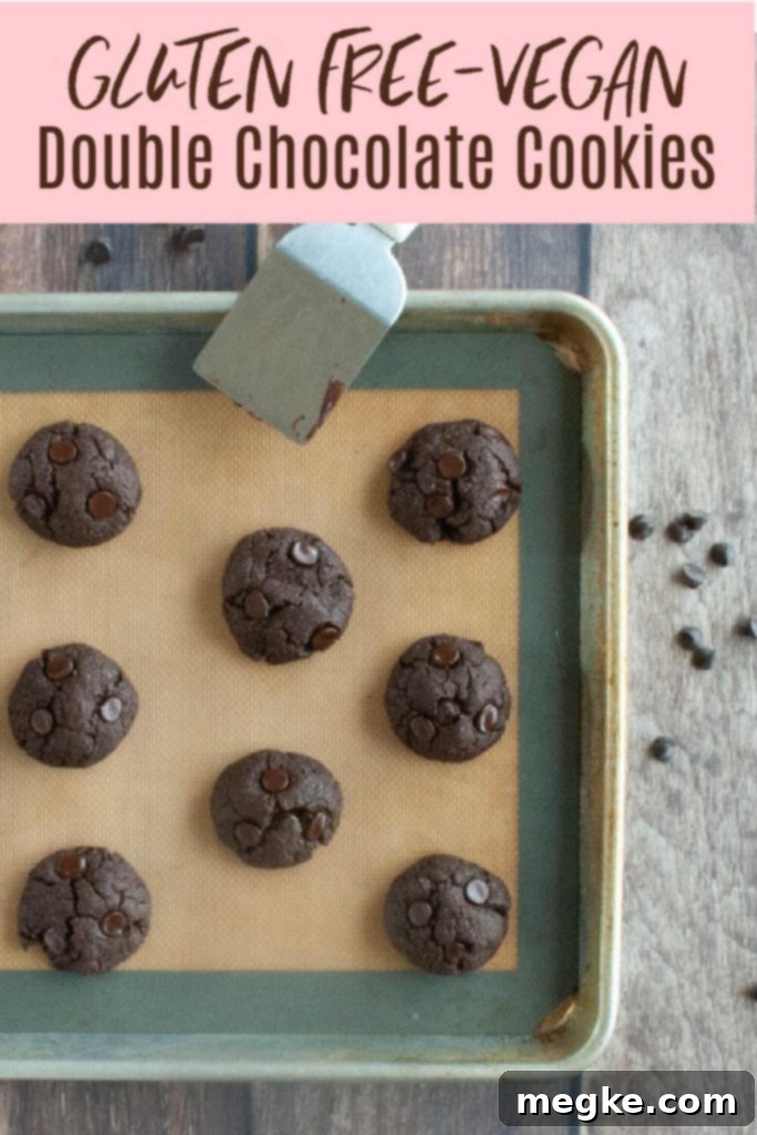 allergy-friendly-double-chocolate-cookie-recipe