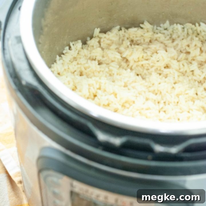 Instant Pot Mediterranean Lemon Rice 6 instant-pot-lemon-Mediterranean-rice-in-the-instant-pot