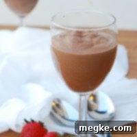 Top 8 Allergen Free Chocolate Mousse For Two 6 Chocolate Mousse For Two (GF, DF, Egg, Soy, Peanut, Tree nut Free, Top 8 Free) by Allergy Awesomeness