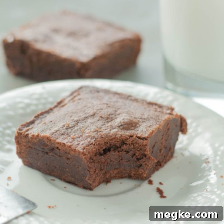 Easy Gluten-Free Dairy-Free Brownies (Video) 7 gluten-free-dairy-free-brownie-with-bite-taken-out