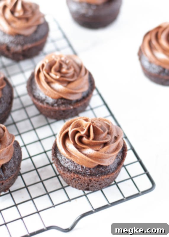 Allergy-friendly chocolate frosting piped onto cupcakes