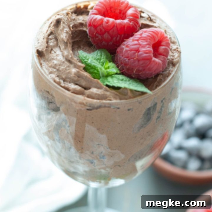 Easy 2-Ingredient Dairy-Free Chocolate Mousse 7 2-ingredient-dairy-free-chocolate-mousse
